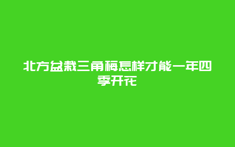 北方盆栽三角梅怎样才能一年四季开花