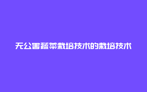 无公害蔬菜栽培技术的栽培技术