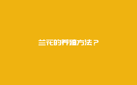 兰花的养殖方法？