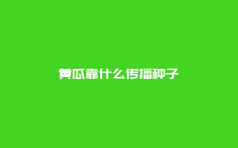 黄瓜靠什么传播种子