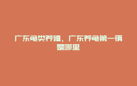 广东龟类养殖，广东养龟第一镇是哪里