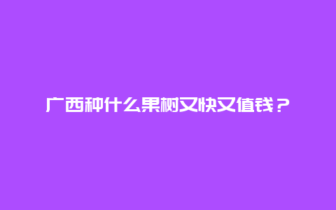 广西种什么果树又快又值钱？