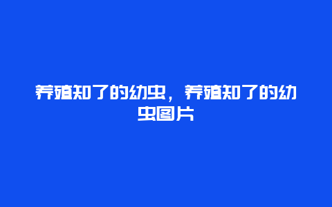 养殖知了的幼虫，养殖知了的幼虫图片