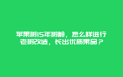 苹果树15年树龄，怎么样进行老树改造，长出优质果品？