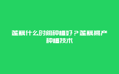 莲藕什么时间种植好？莲藕高产种植技术