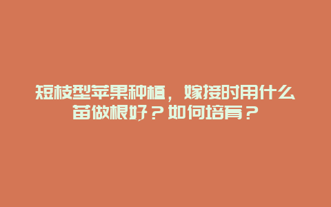 短枝型苹果种植，嫁接时用什么苗做根好？如何培育？