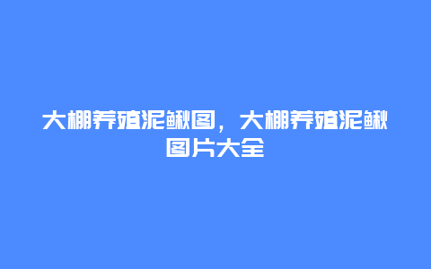 大棚养殖泥鳅图，大棚养殖泥鳅图片大全