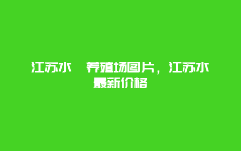 江苏水蛭养殖场图片，江苏水蛭最新价格