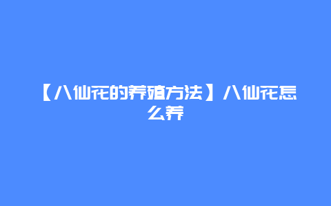 【八仙花的养殖方法】八仙花怎么养