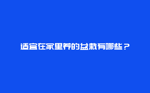 适宜在家里养的盆栽有哪些？