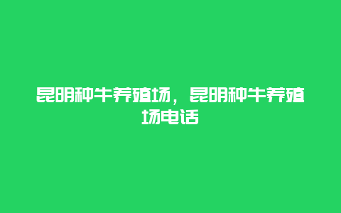 昆明种牛养殖场，昆明种牛养殖场电话