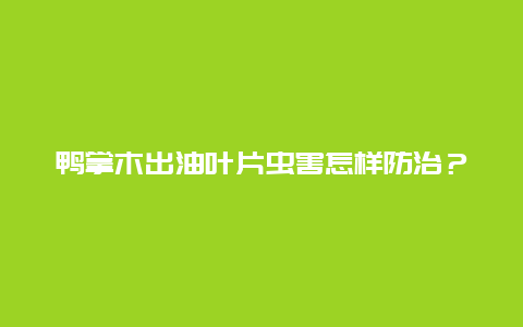 鸭掌木出油叶片虫害怎样防治？