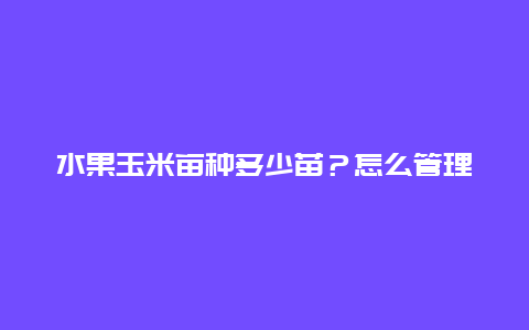 水果玉米亩种多少苗？怎么管理