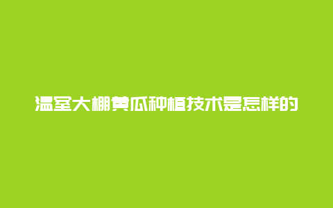 温室大棚黄瓜种植技术是怎样的