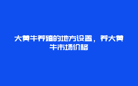 大黄牛养殖的地方设置，养大黄牛市场价格