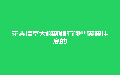 花卉温室大棚种植有哪些需要注意的