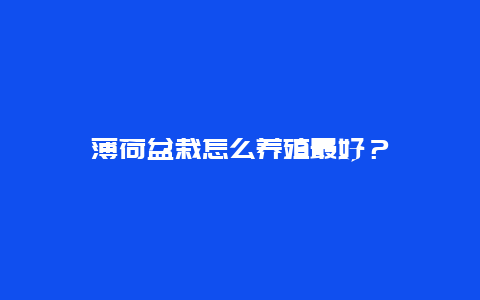 薄荷盆栽怎么养殖最好？