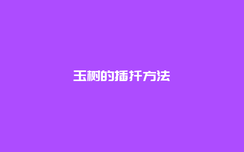 玉树的插扦方法