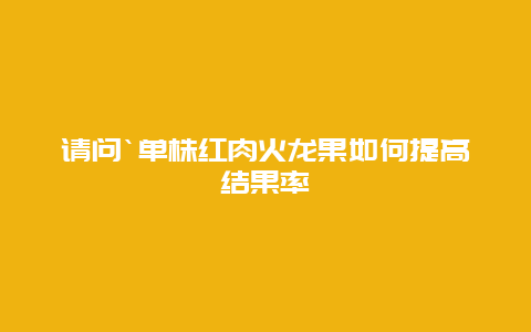 请问`单株红肉火龙果如何提高结果率