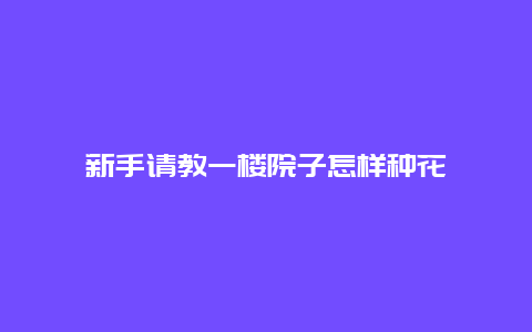 新手请教一楼院子怎样种花