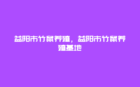 益阳市竹鼠养殖，益阳市竹鼠养殖基地