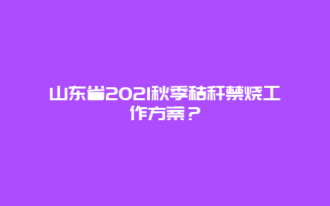 山东省2021秋季秸秆禁烧工作方案？