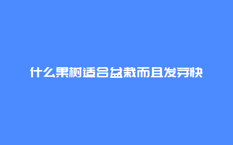 什么果树适合盆栽而且发芽快