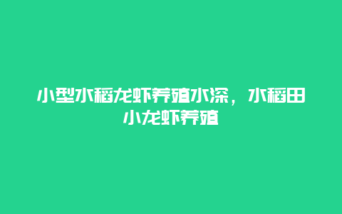 小型水稻龙虾养殖水深，水稻田小龙虾养殖