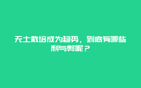 无土栽培成为趋势，到底有哪些利与弊呢？