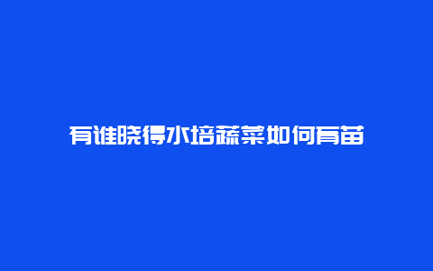 有谁晓得水培蔬菜如何育苗