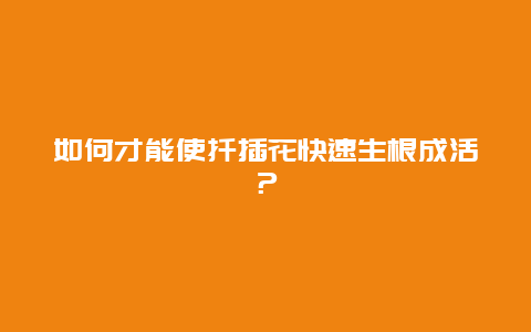 如何才能使扦插花快速生根成活？