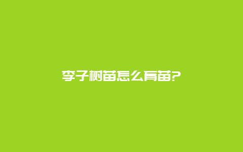 李子树苗怎么育苗?