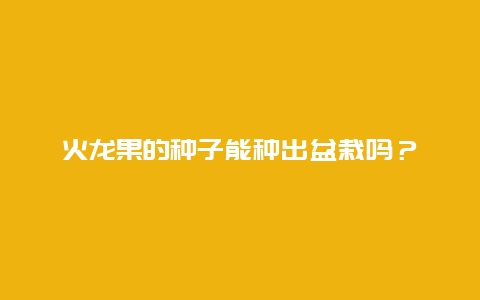 火龙果的种子能种出盆栽吗？