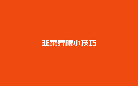 韭菜养根小技巧