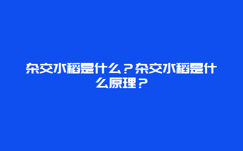 杂交水稻是什么？杂交水稻是什么原理？