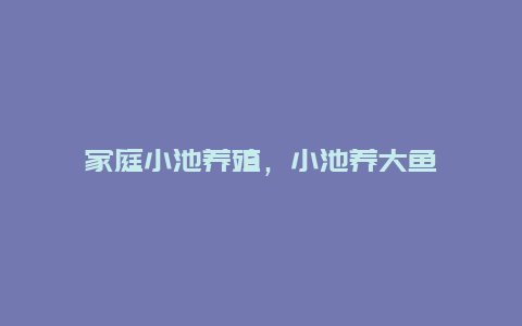 家庭小池养殖，小池养大鱼