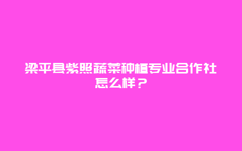 梁平县紫照蔬菜种植专业合作社怎么样？