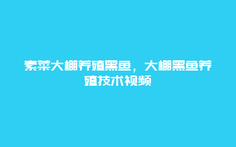 素菜大棚养殖黑鱼，大棚黑鱼养殖技术视频