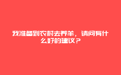 我准备到农村去养羊，请问有什么好的建议？