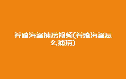 养殖海参捕捞视频(养殖海参怎么捕捞)