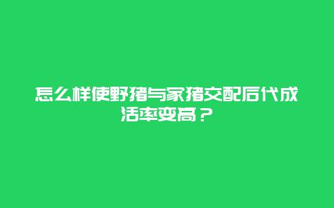 怎么样使野猪与家猪交配后代成活率变高？