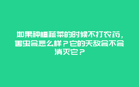 如果种植蔬菜的时候不打农药，害虫会怎么样？它的天敌会不会消灭它？