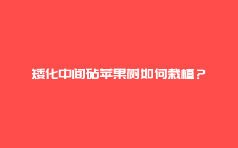 矮化中间砧苹果树如何栽植？