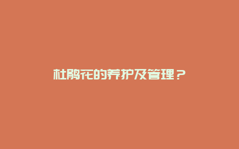 杜鹃花的养护及管理？