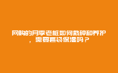 网购的月季老桩如何栽种和养护，需要套袋保湿吗？