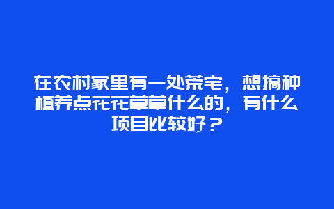 在农村家里有一处荒宅，想搞种植养点花花草草什么的，有什么项目比较好？