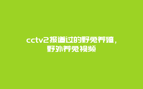 cctv2报道过的野兔养殖，野外养兔视频