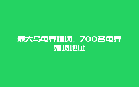 最大乌龟养殖场，700名龟养殖场地址