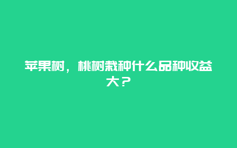 苹果树，桃树栽种什么品种收益大？