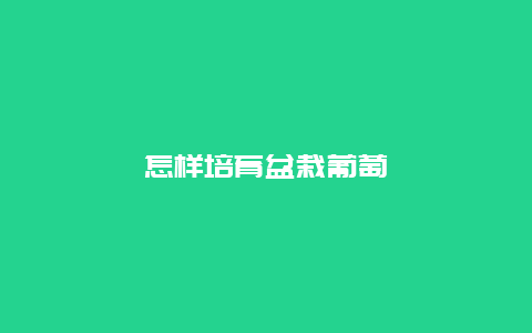 怎样培育盆栽葡萄